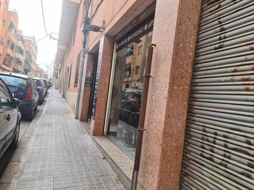 Lapeludelaeli