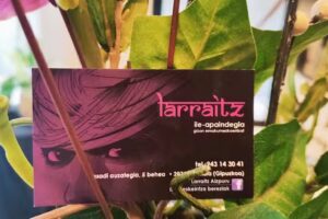 Larraitz ile apaindegia