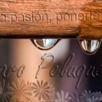 Lázaro Peluqueros