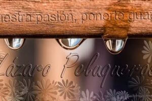 Lázaro Peluqueros