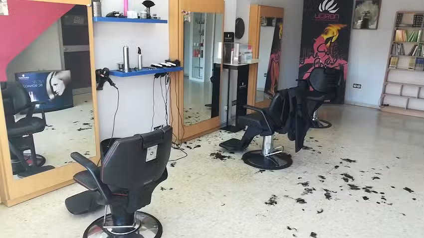 Lebrón Alternactivo Peluqueros