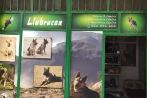 Llubrucan