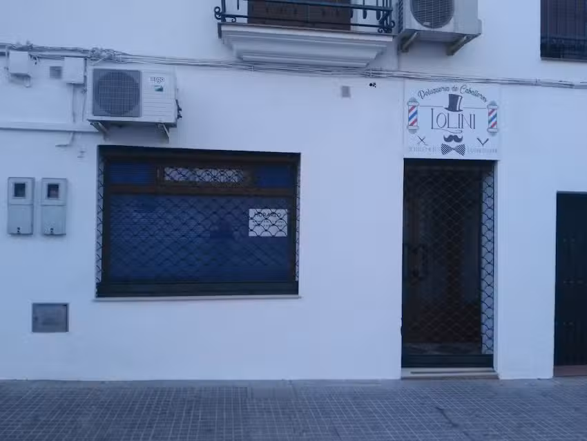 Lolini