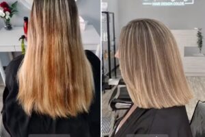 Lorena Gomez hair desing color