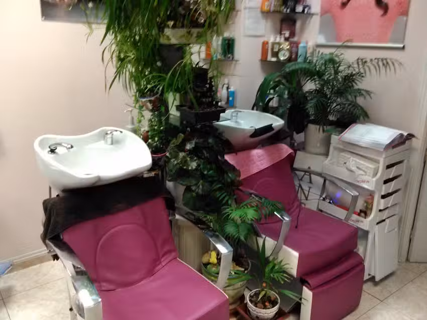 Lucia Alvarado Estetica Y Peluqueria
