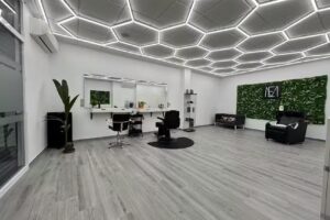 MAESLE BARBERÍA