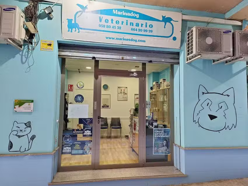 MARINADOG GRANADA