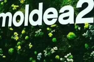 Moldea2