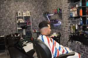 Monkey barbershop