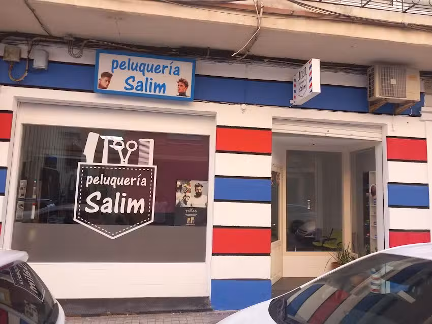Oliva valencia
