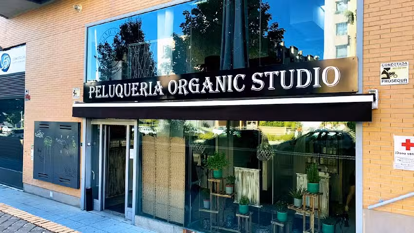 Organic Studio