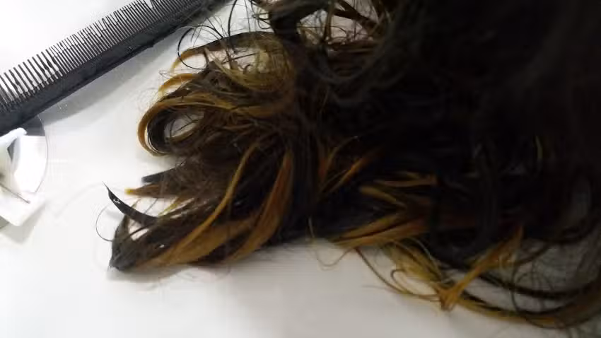 Paco Hernandez Peluqueros