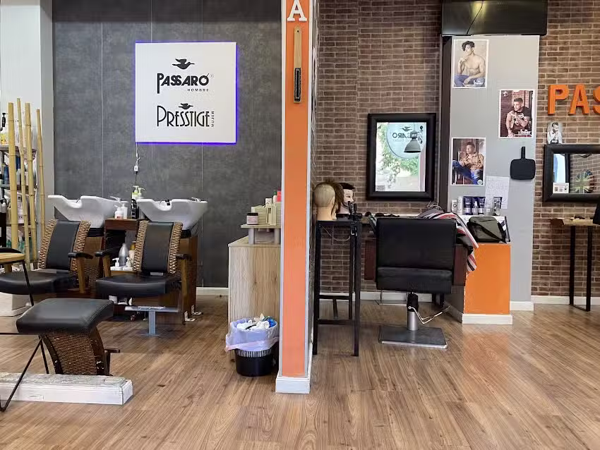 Passaro