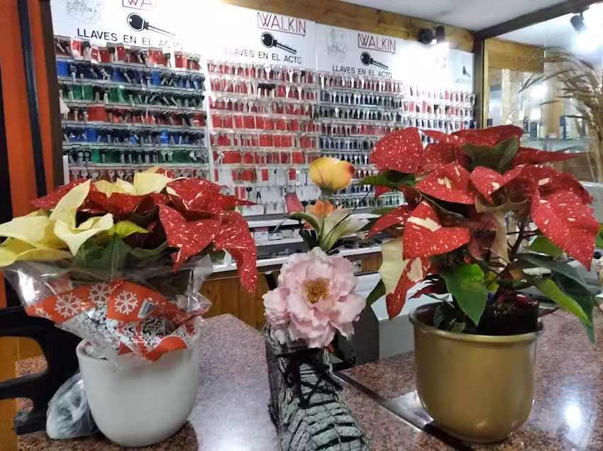 Peluquería