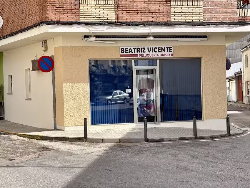 Peluquer&iacute;a Beatriz Vicente