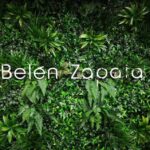Peluquer&iacute;a Bel&eacute;n Zapata