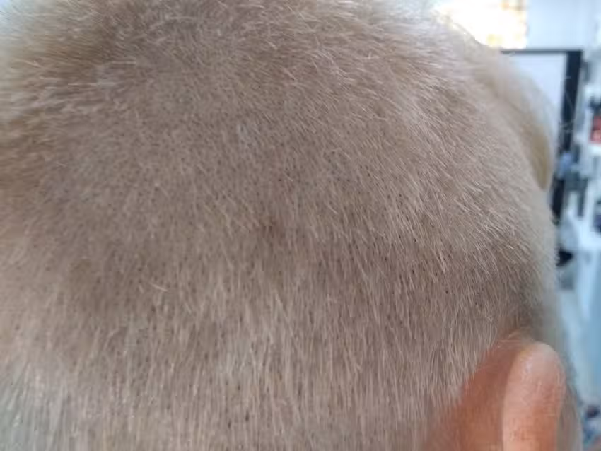 Peluqueria Bellissima