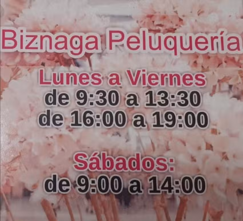 Peluquer&iacute;a Biznaga