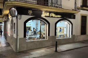 Peluqueria de Caballero Ale