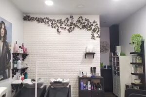 Peluquería Edrian, Estilista