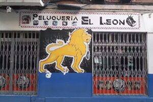 Peluqueria El León