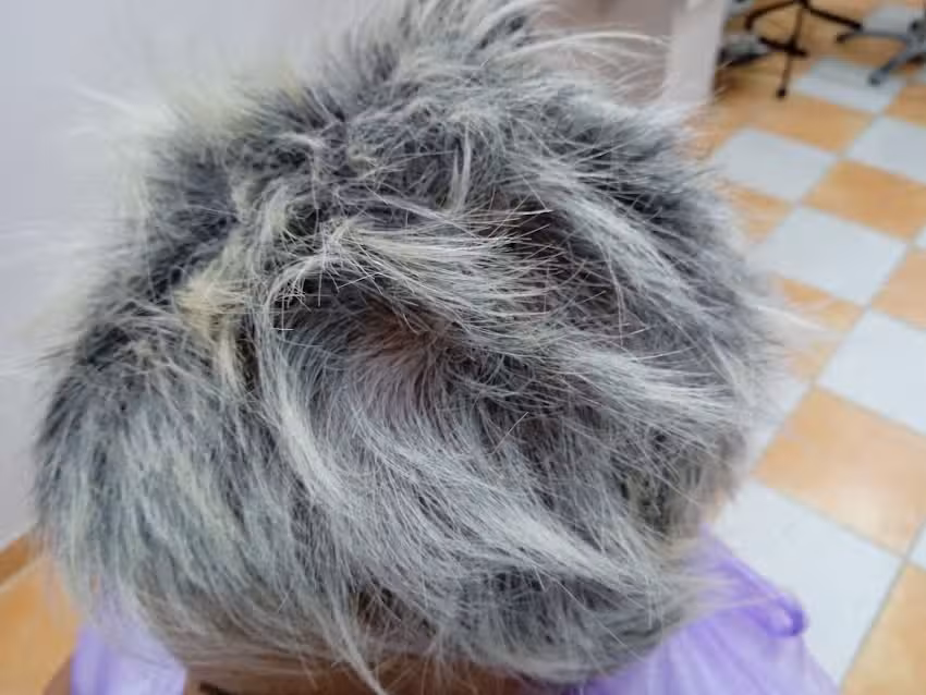 Peluquería Estética G.A.