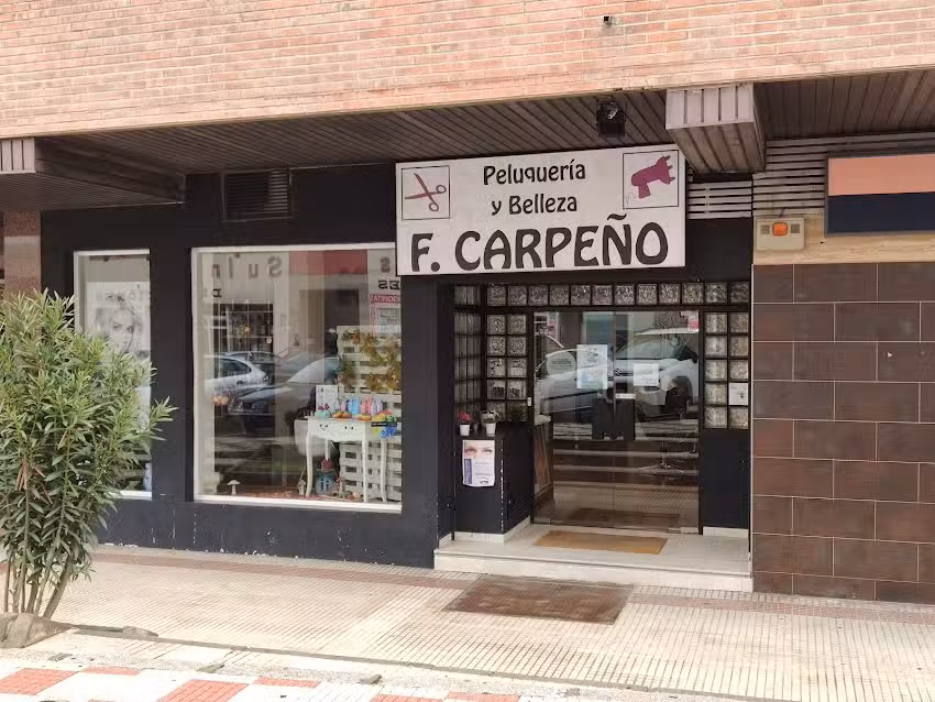 Peluquer&iacute;a F. Carpe&ntilde;o