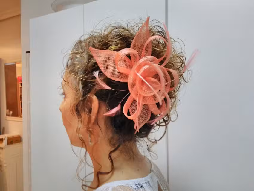 Peluquer&iacute;a fran