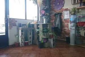 Peluqueria Guap@s