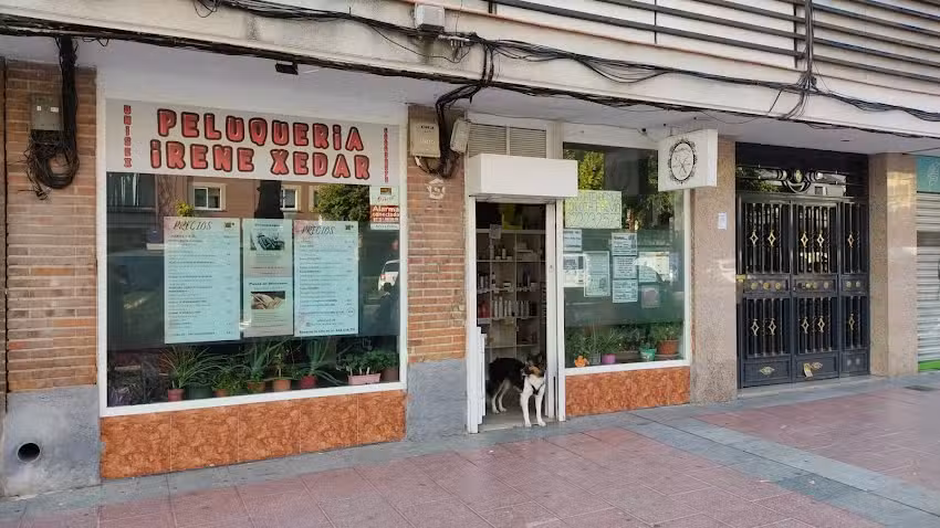 Peluquer&iacute;a Irene Xedar