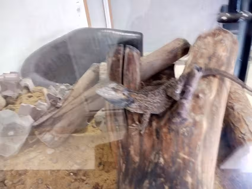 Peluqueria Jaimex