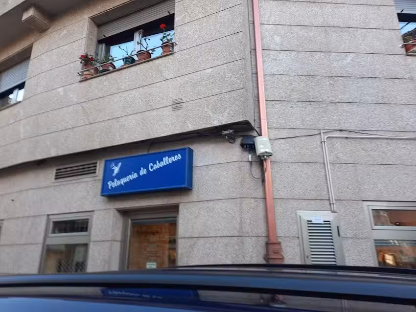Peluqueria Lesta (Silvia)