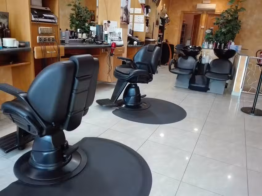 Peluquer&iacute;a Miguel del Ser