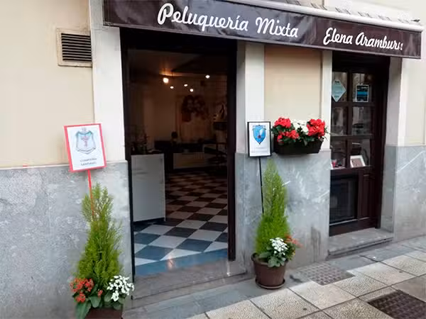 Peluqueria Mixta Elena Aramburu