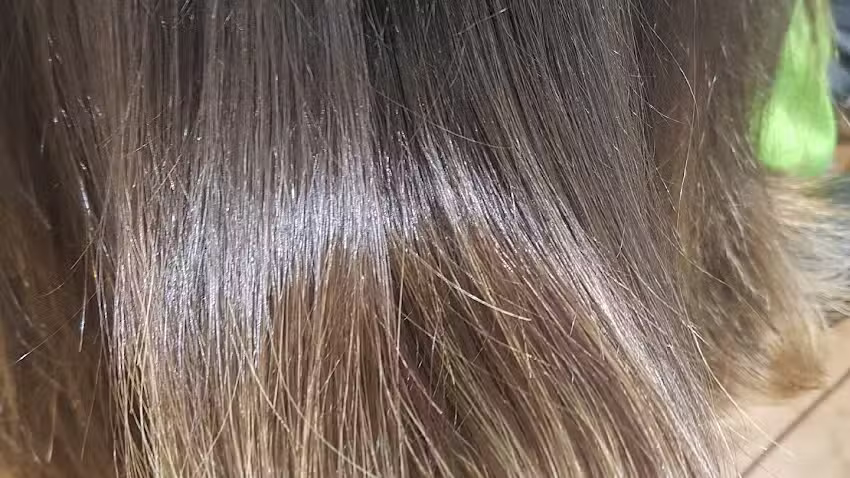 Peluquer&iacute;a Piriz Estilistas