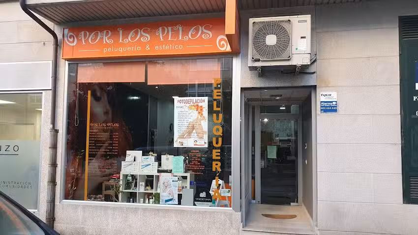 Peluquer&iacute;a Por los pelos