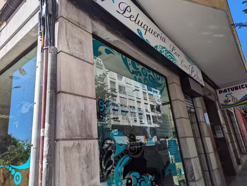 Peluquer&iacute;a por Los Pelos