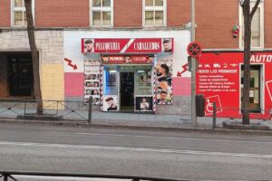 Peluqueria Rayo