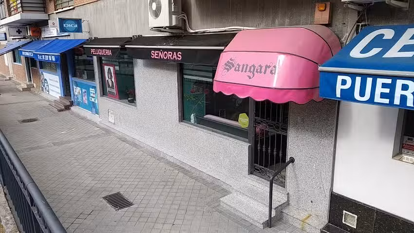 Peluquer&iacute;a Sangara
