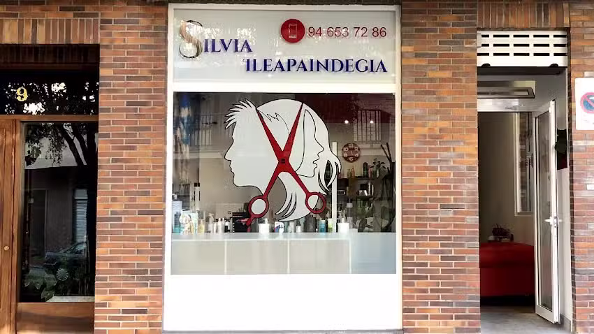 Peluqueria Silvia Ileapaindegia