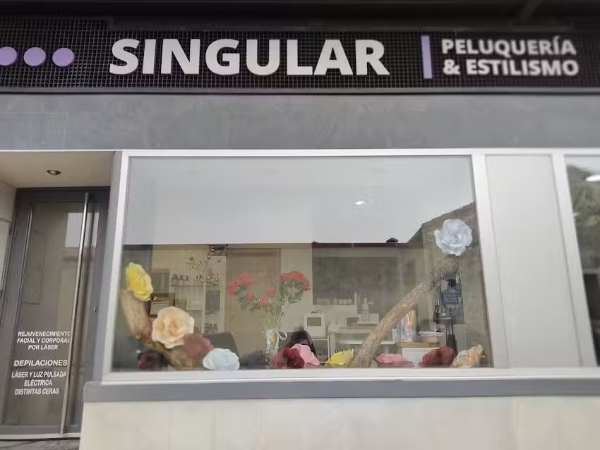 Peluquer&iacute;a Singular Cantalejo | Balayages y Alisados