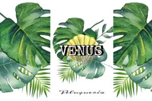 Peluquería Unisex Venus