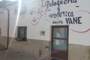 Peluqueria vane el perdigon