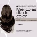 PELUQUERIA X LOS PELOS