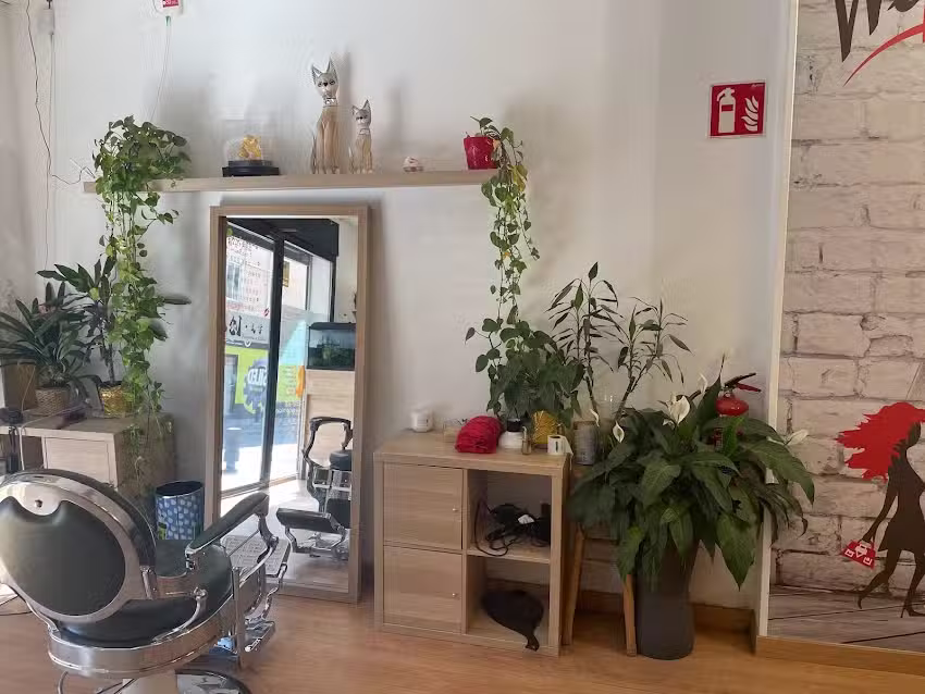 Peluqueria y Estetica Yuan Chuang