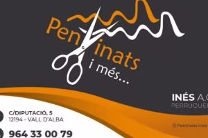 Pentinats …i més Inés AC