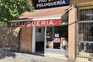 Pro Style Peluquería
