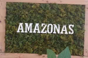 Salón de Belleza Amazonas
