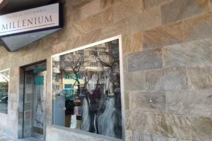Salón de Peluquería Millenium