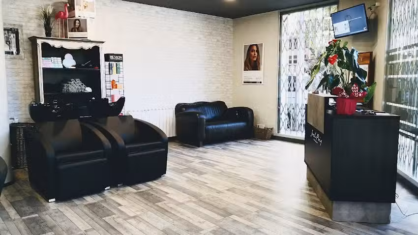 Salón Joel Puig